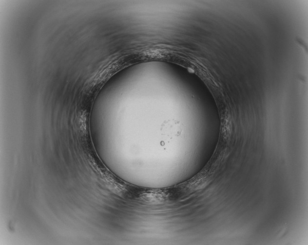 X0000100370466200806201632