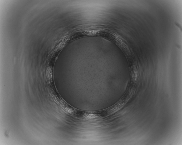 X0000100370467200806201632