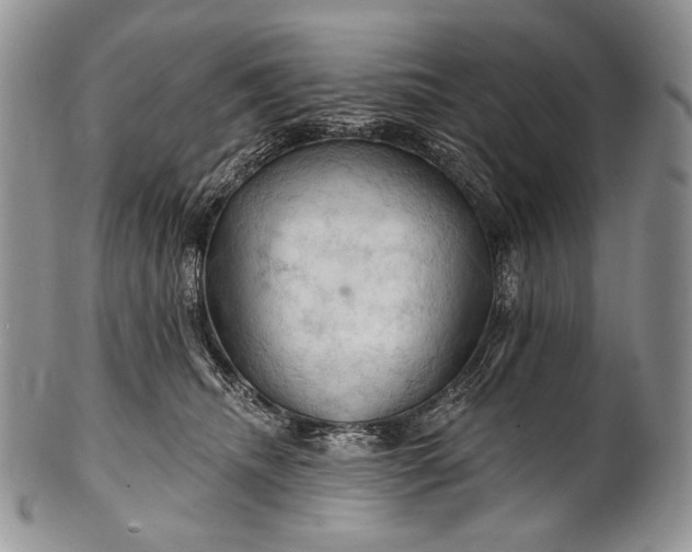 X0000100370468200806201632