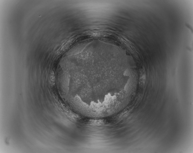 X0000100370469200806201632