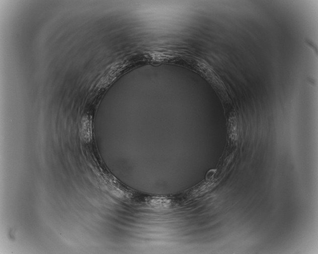 X0000100370471200806201632