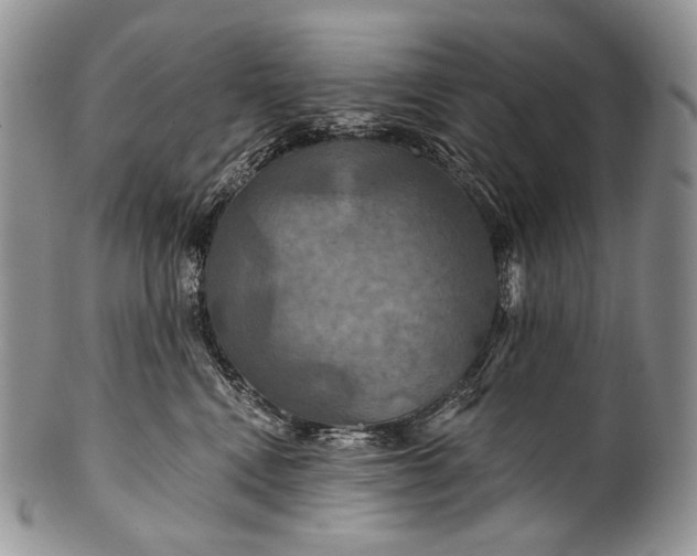 X0000100370472200806201632