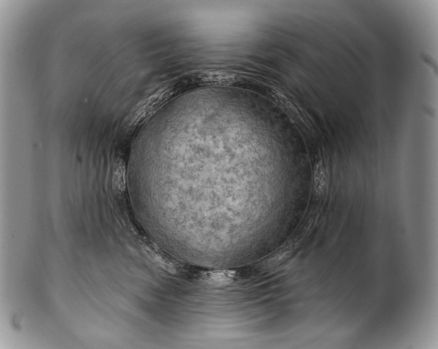 X0000100370474200806201632