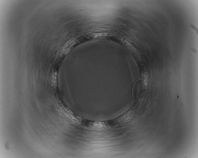 X0000100370475200806201632