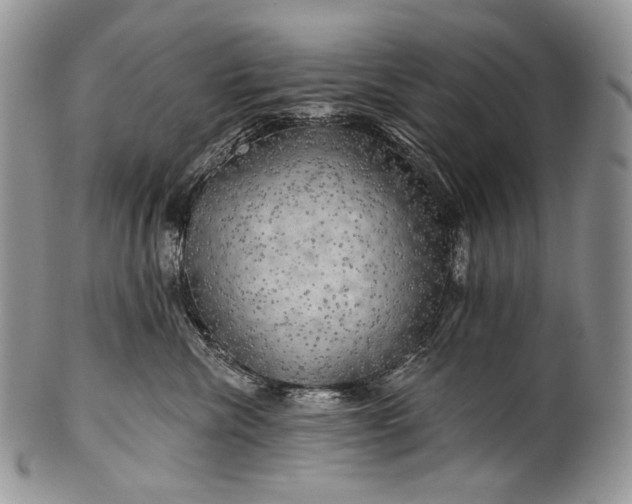 X0000100370476200806201632