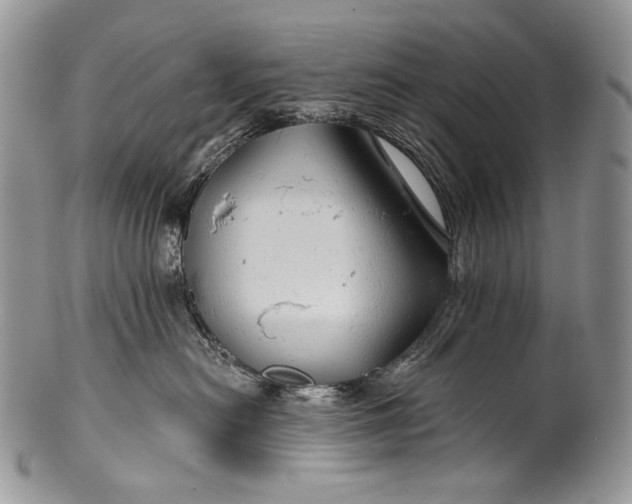 X0000100370478200806201632