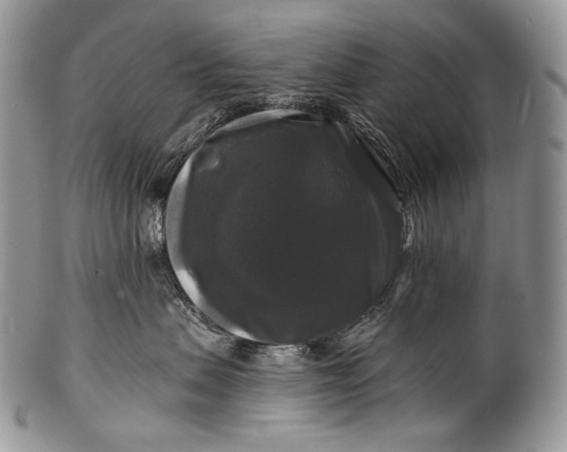 X0000100370479200806201632