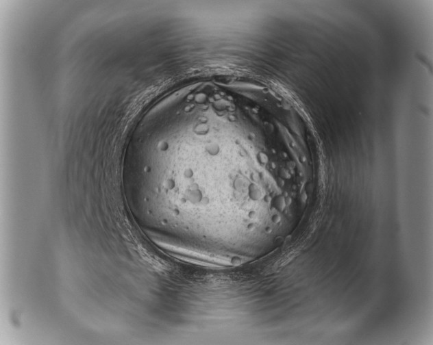 X0000100370481200806201631