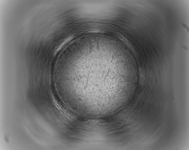 X0000100370482200806201631