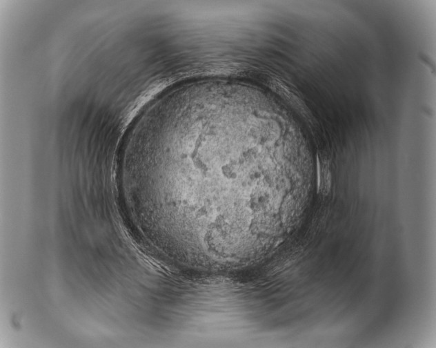 X0000100370483200806201631