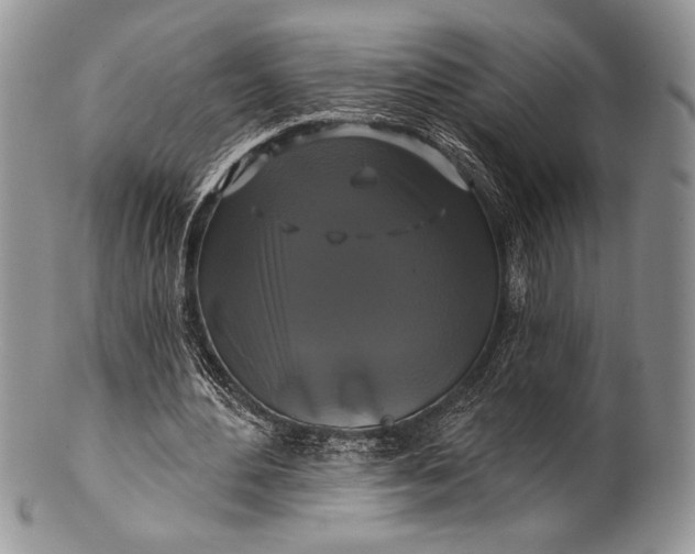 X0000100370484200806201631