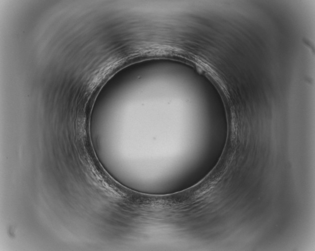 X0000100370485200806201631