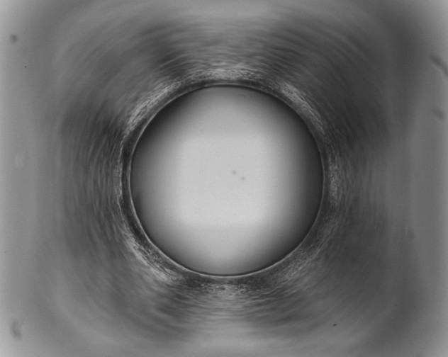 X0000100370486200806201631