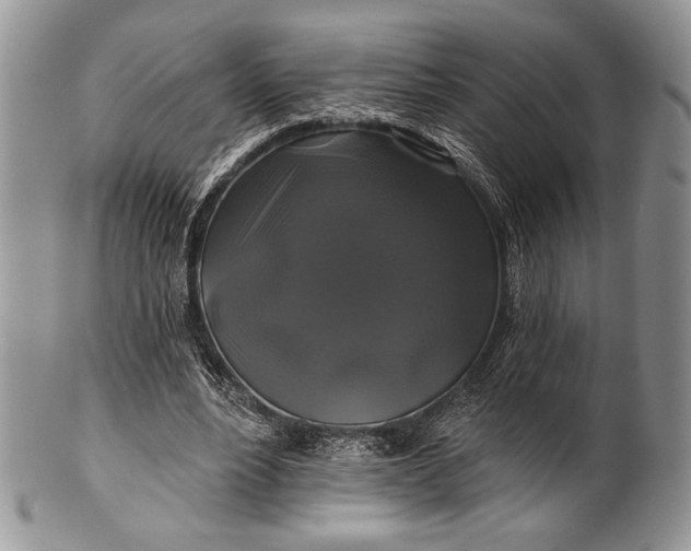 X0000100370488200806201631