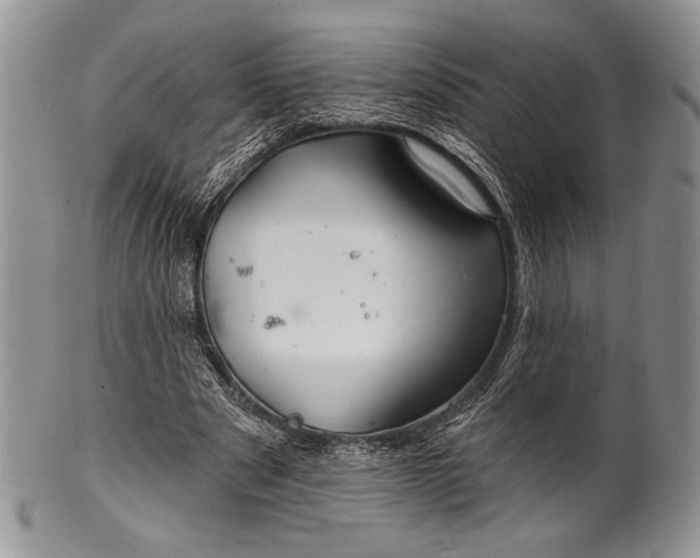 X0000100370489200806201631