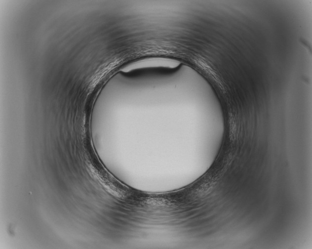 X0000100370490200806201631