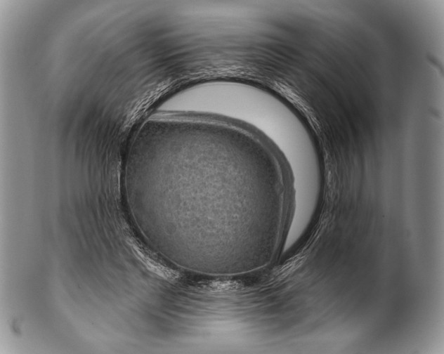 X0000100370493200806201631