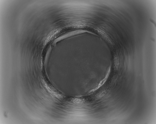 X0000100370494200806201631