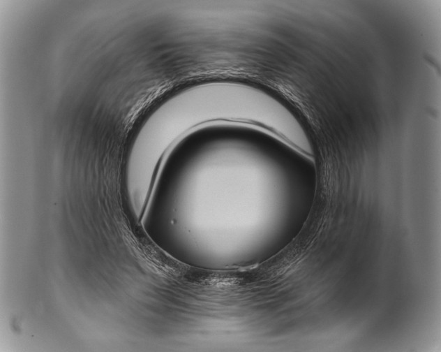 X0000100370495200806201631