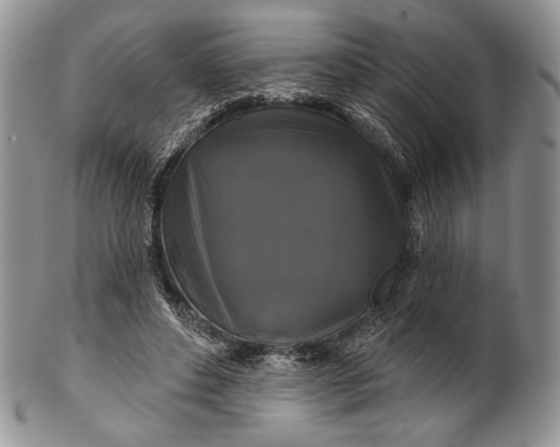 X0000100370496200806201631