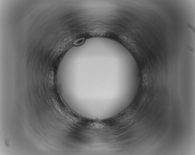 X0000100370498200806201631