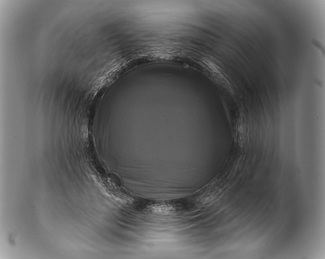 X0000100370500200806201631