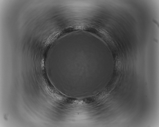 X0000100370502200806201631