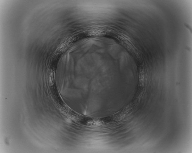 X0000100370503200806201631