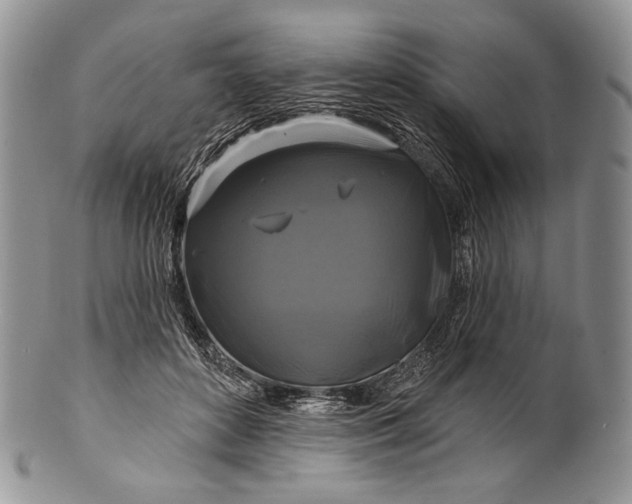 X0000100370504200806201631