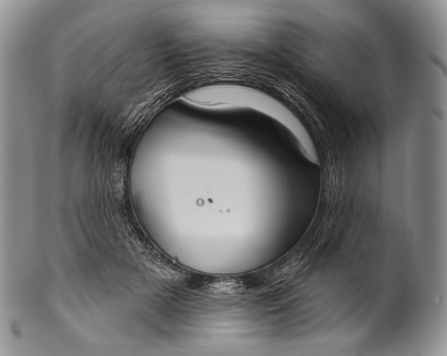 X0000100370505200806201631