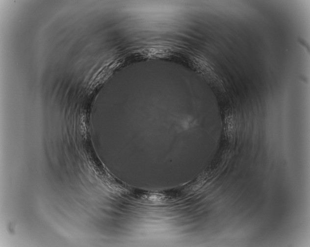 X0000100370506200806201631