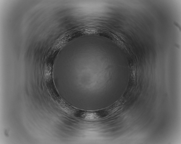 X0000100370507200806201631