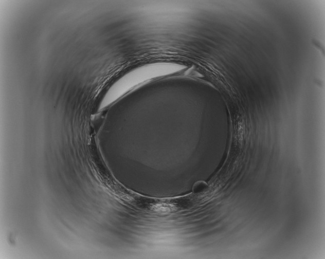 X0000100370508200806201631