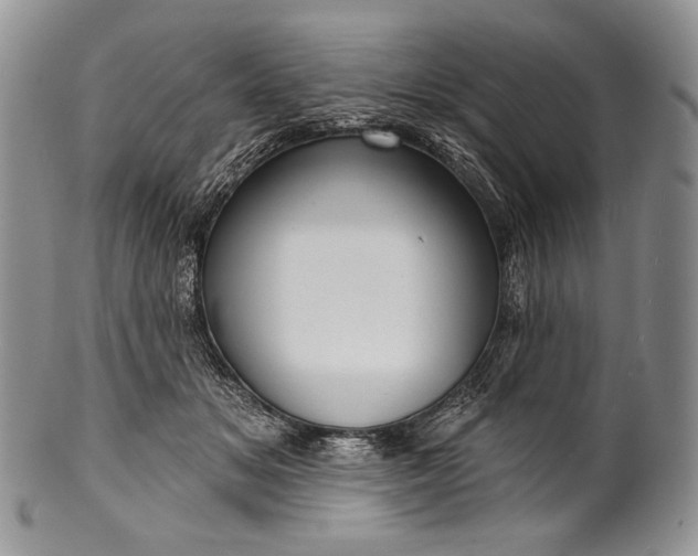 X0000100370509200806201631