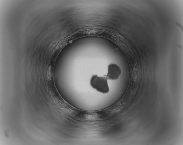 X0000100370510200806201631