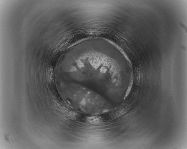 X0000100370511200806201631