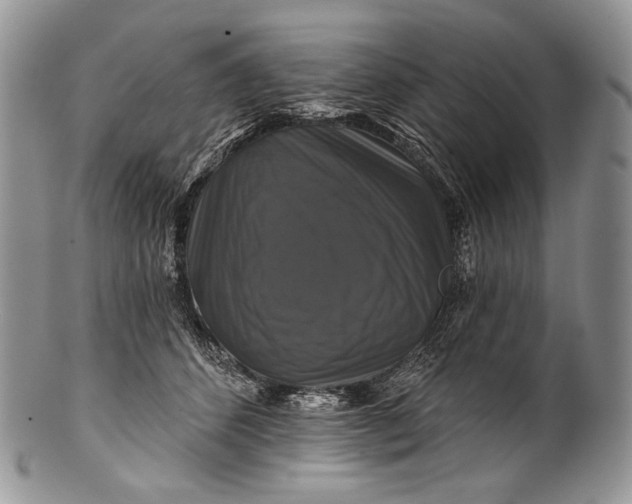 X0000100370512200806201631