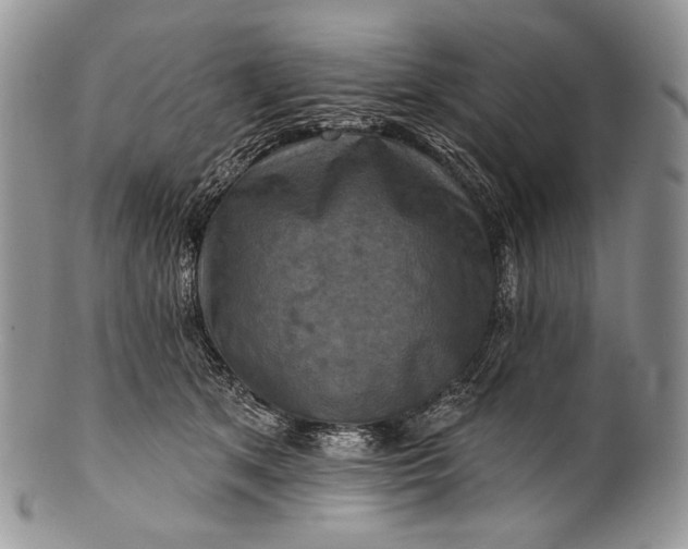 X0000100370513200806201631