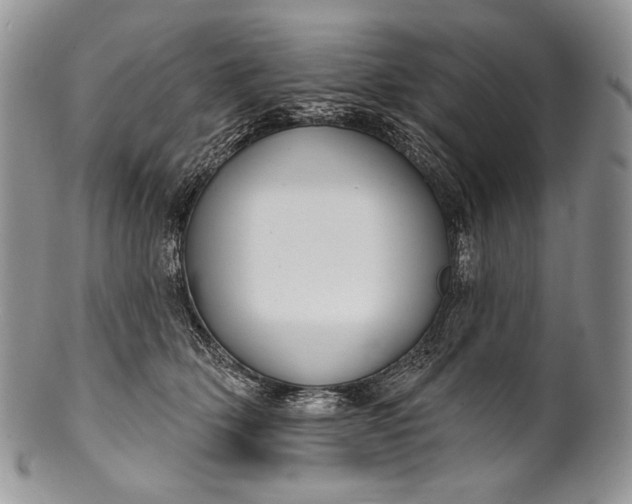 X0000100370514200806201631