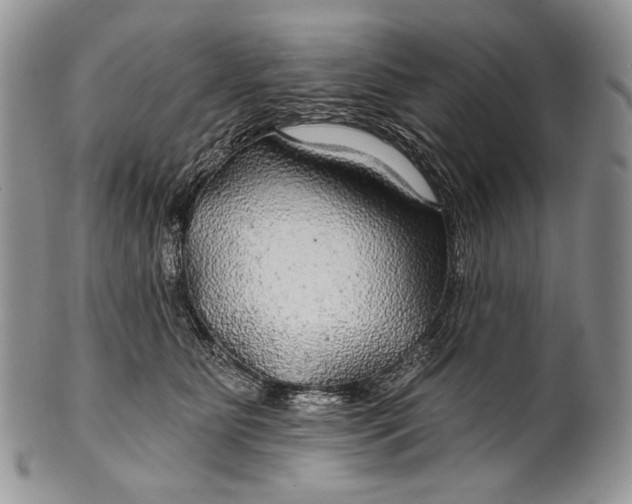 X0000100370515200806201631