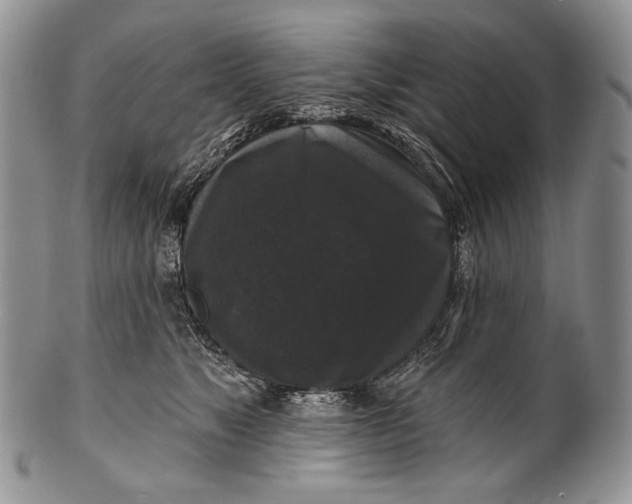 X0000100370517200806201631