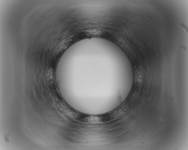 X0000100370518200806201631