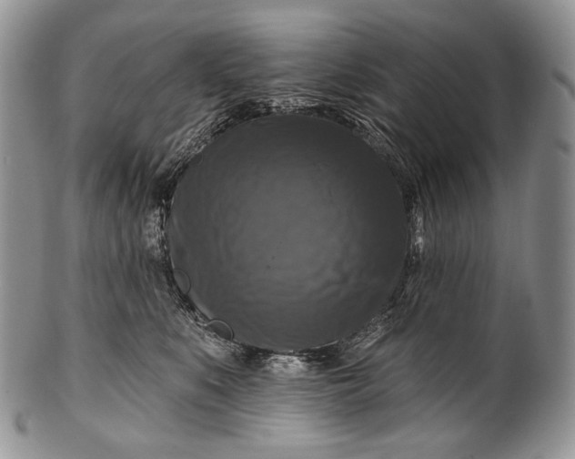 X0000100370519200806201631