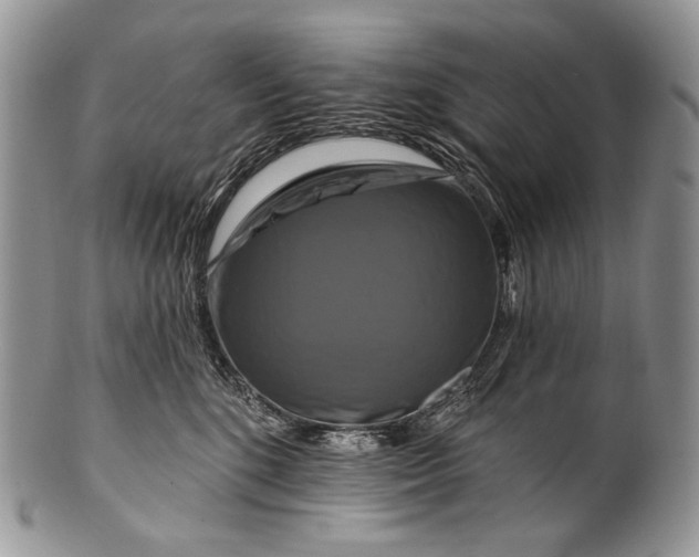 X0000100370520200806201631