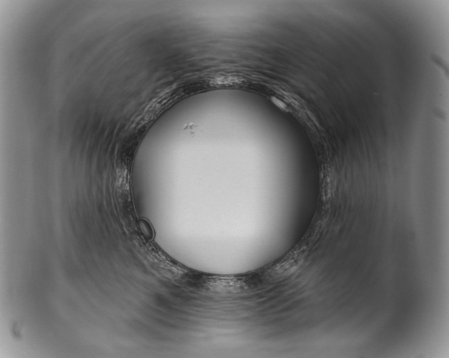 X0000100370521200806201631