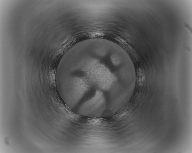 X0000100370523200806201631