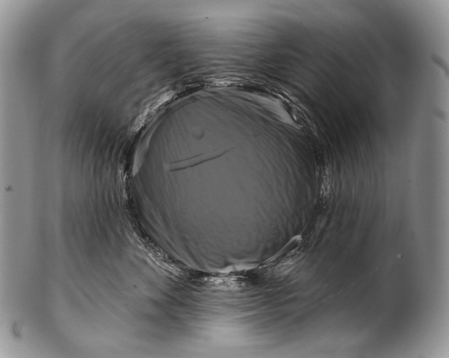 X0000100370524200806201631