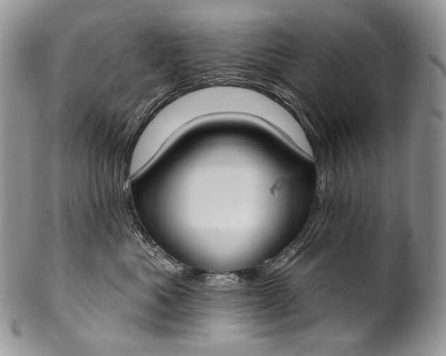 X0000100370525200806201631