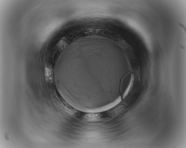 X0000100370526200806201631