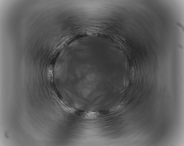 X0000100370527200806201631